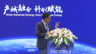 2025全球数字经济大会数字金融论坛