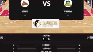 越南联    岘港vs 芹苴