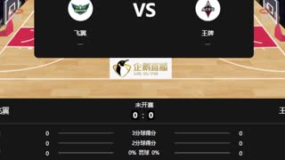 WNBA    飞翼vs王牌