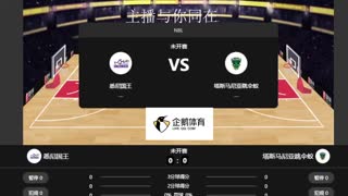 悉尼国王VS 塔斯马尼亚跳伞蚁