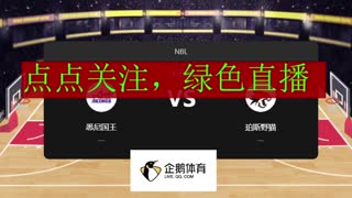 悉尼国王 --珀斯野猫