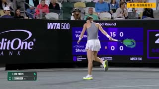 施耐德VS沃雷涅茨